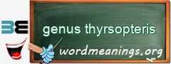 WordMeaning blackboard for genus thyrsopteris